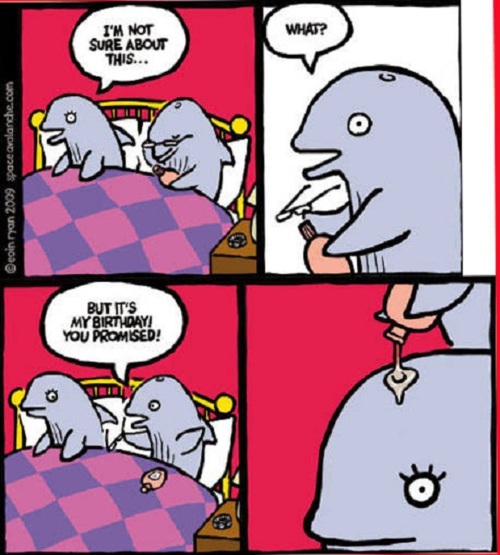 Ward's Random Picture Dump