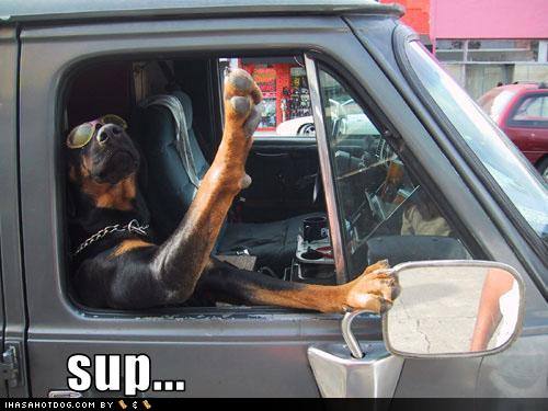 Ward's Random Picture Dump