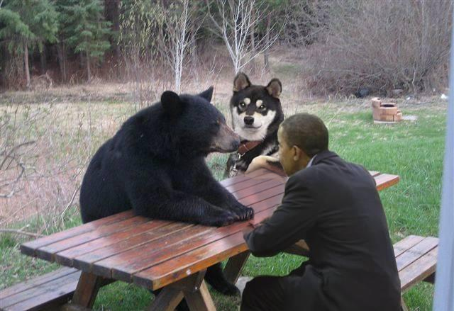 Ward's Random Picture Dump