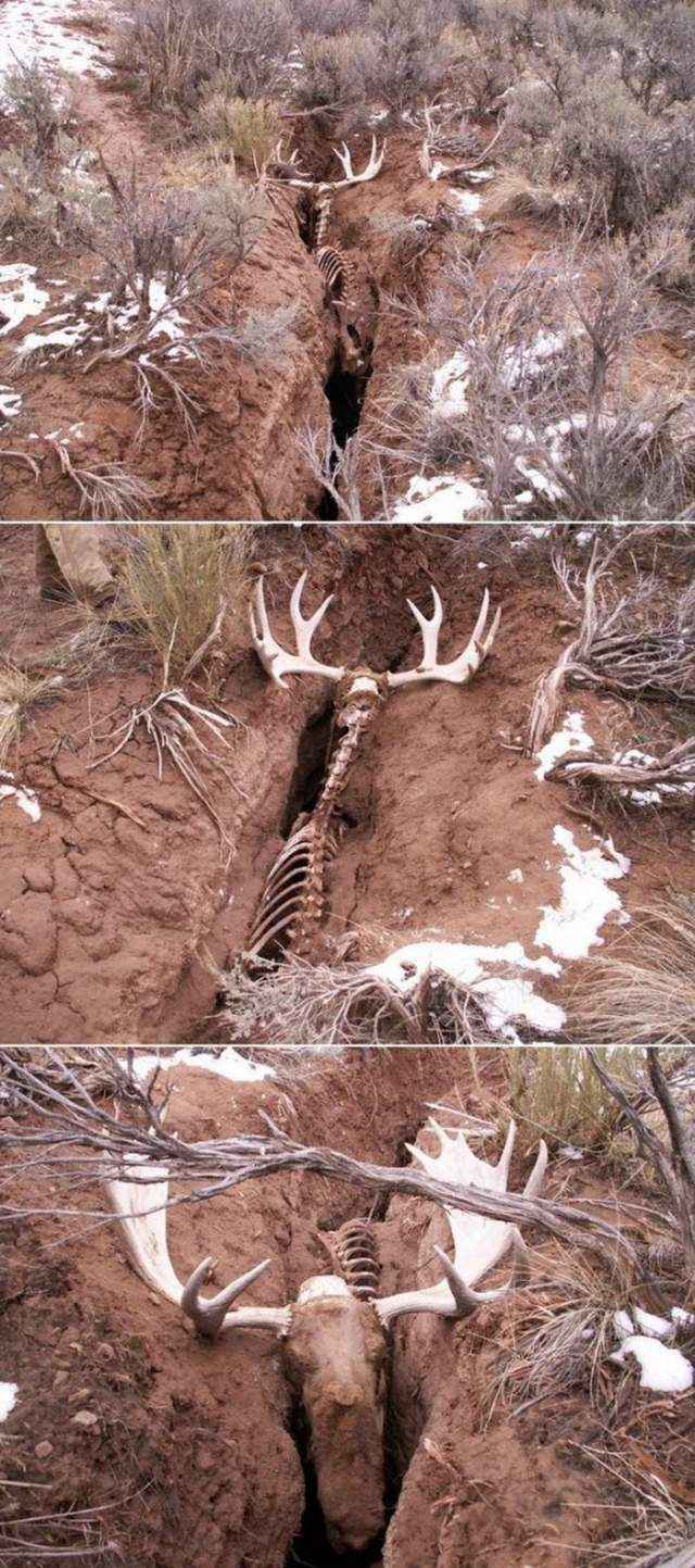 Ward's Random Picture Dump