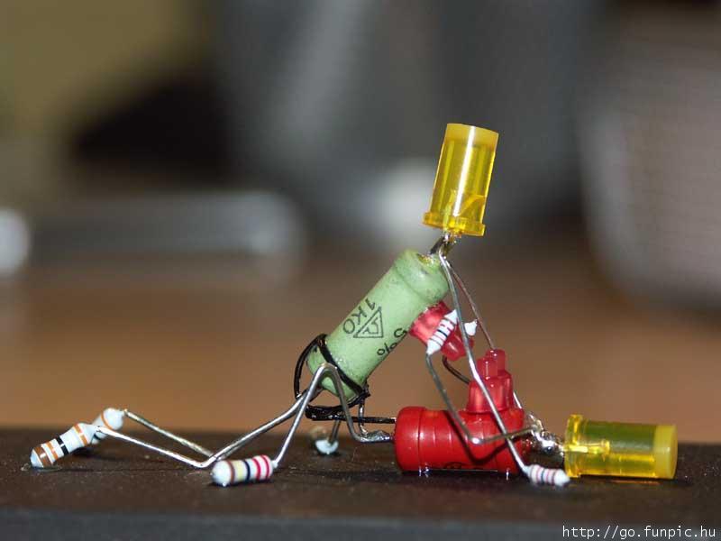 Ward's Random Picture Dump