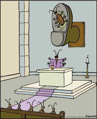 Ward's Random Picture Dump