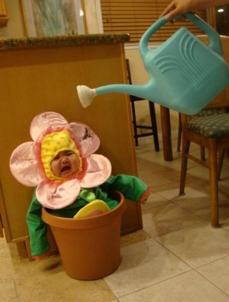 Ward's Random Picture Dump