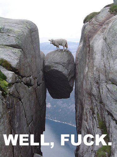 Ward's Random Picture Dump