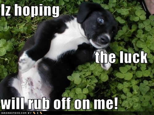 Ward's Random Picture Dump