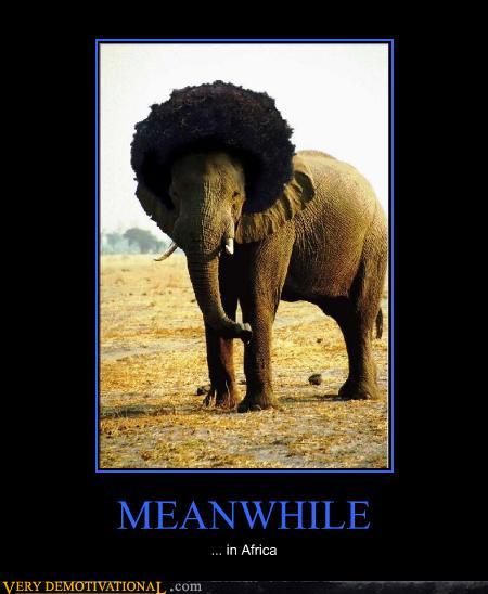 Ward's Random Picture Dump