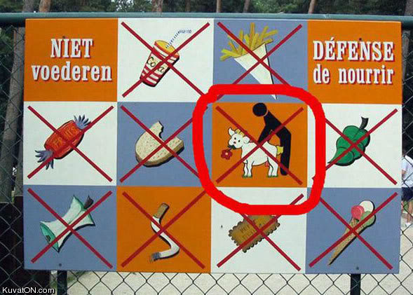 Ward's Random Picture Dump