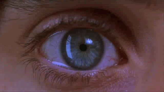 Ward's Random Picture Dump