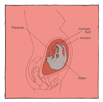 Ward's Random Picture Dump