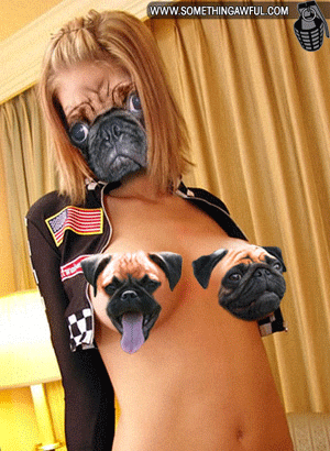 Ward's Random Picture Dump