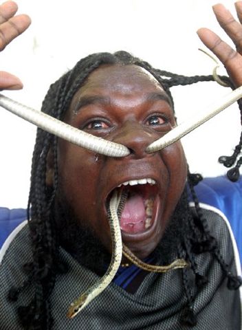 Ward's Random Picture Dump