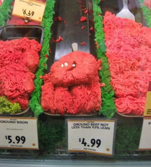 Ward's Random Picture Dump