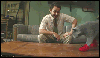 Ward's Random Picture Dump