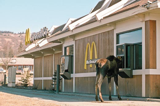 Ward's Random Picture Dump