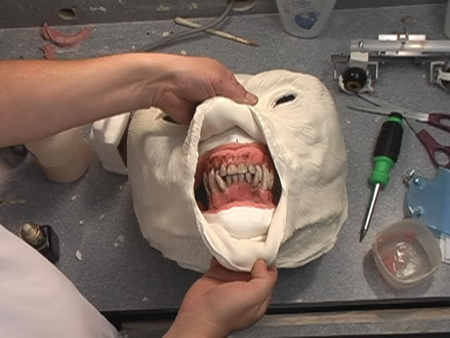 Ward's Random Picture Dump