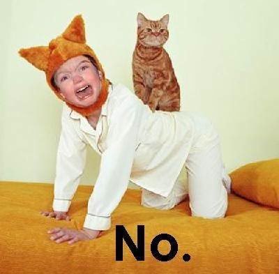 Ward's Random Picture Dump