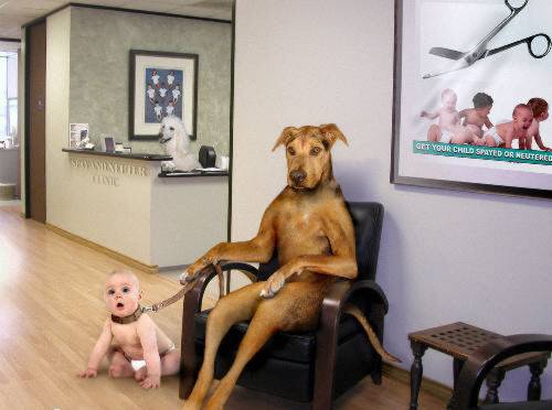 Ward's Random Picture Dump