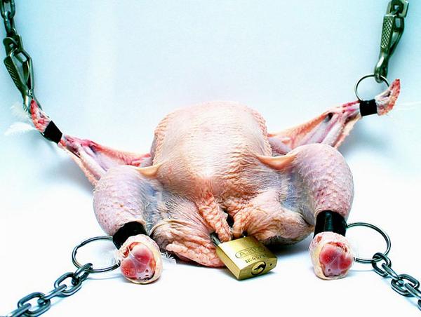 Ward's Random Picture Dump