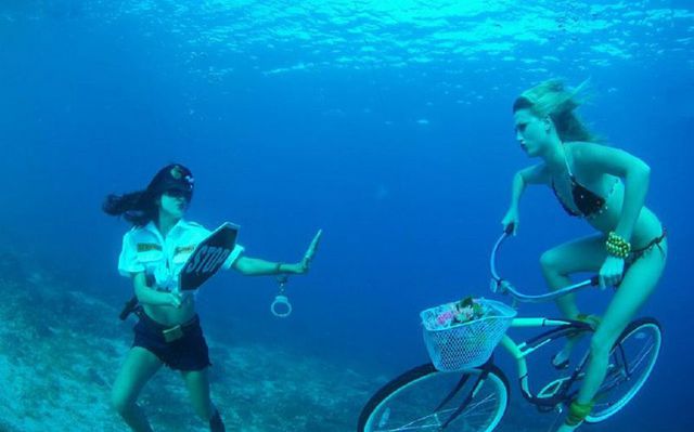 Ward's Random Picture Dump