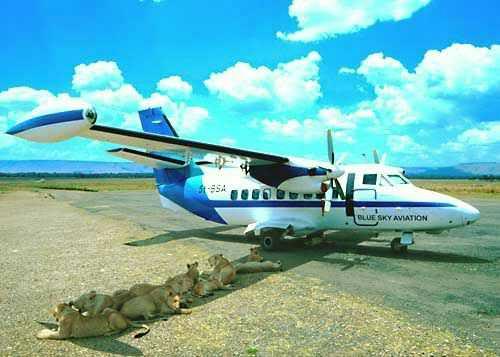 Ward's Random Picture Dump