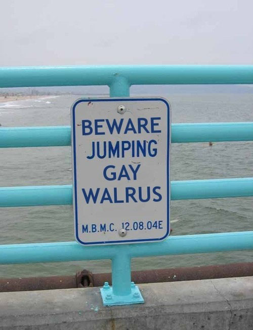 Ward's Random Picture Dump