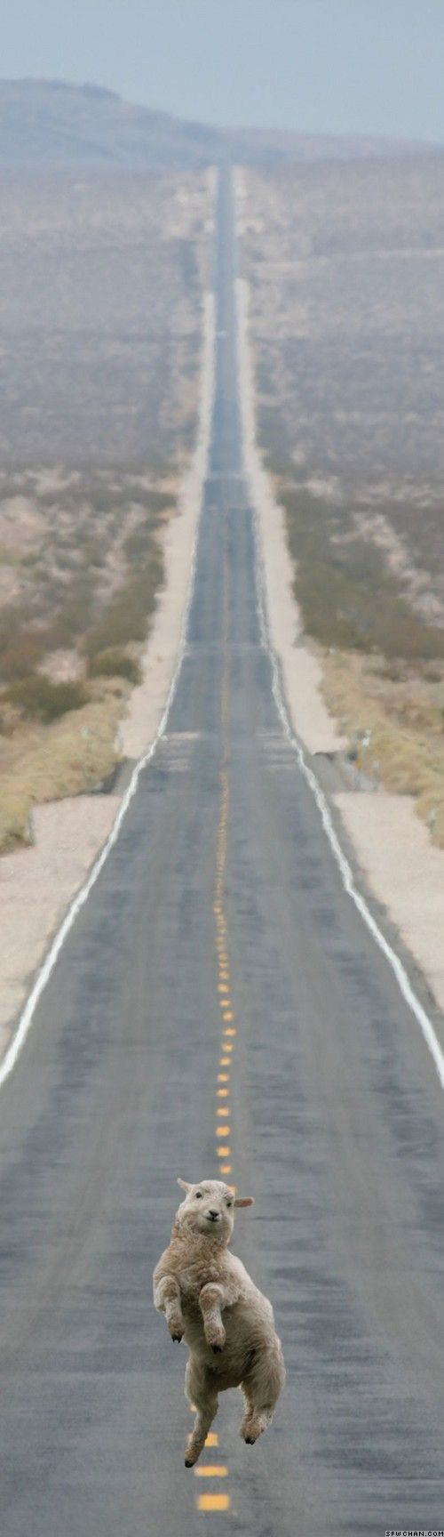 Ward's Random Picture Dump