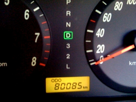 Ward's Random Picture Dump