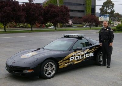 25 Cool Cop Cars