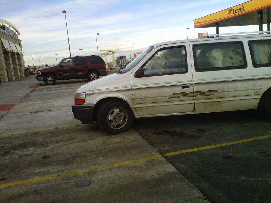 Ward's Random Picture Dump