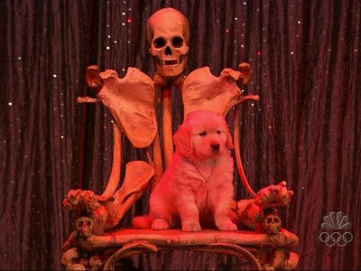 Ward's Random Picture Dump