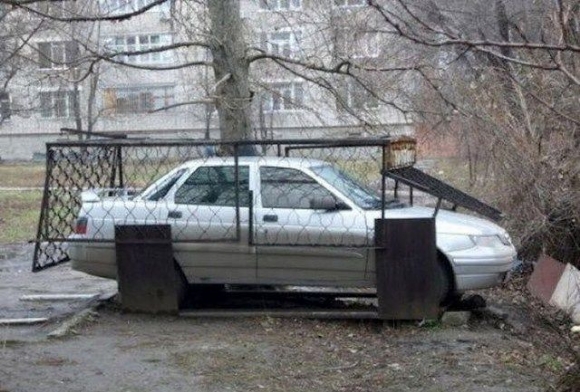 Ward's Random Picture Dump