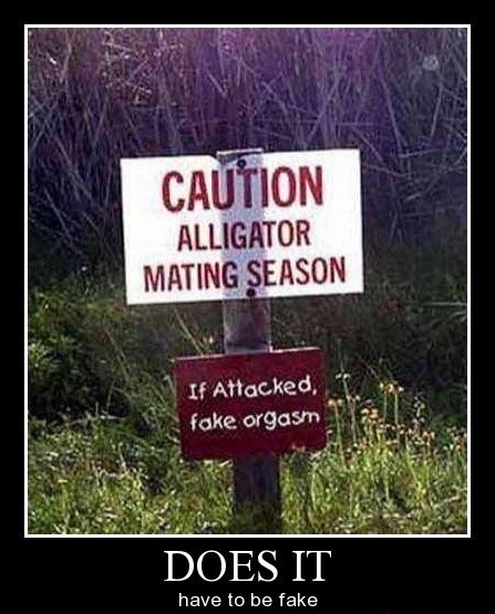 Ward's Random Picture Dump