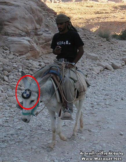 Ward's Random Picture Dump