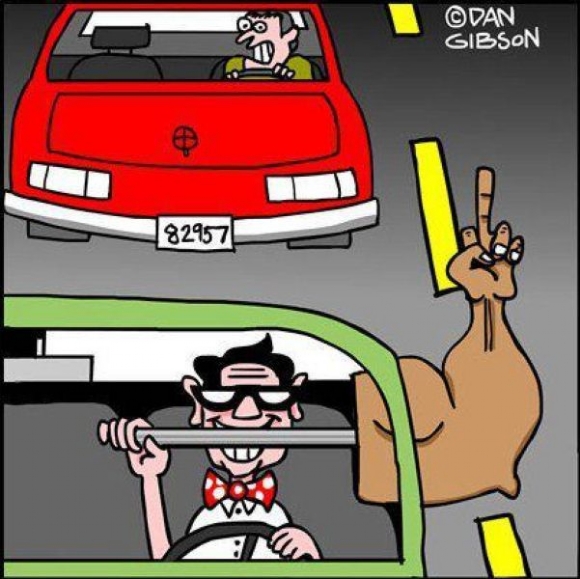 WARD'S.....The Best Picture Dump