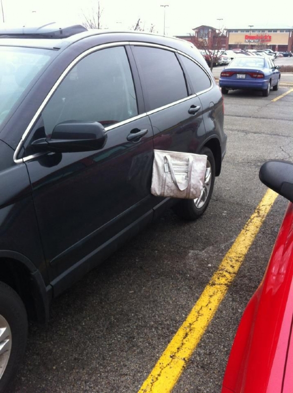 WARD'S.....The Best Picture Dump