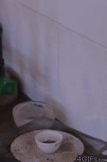 WARD'S.....The Best Picture Dump