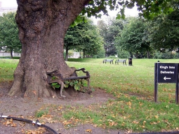 Trees Eating Stuff