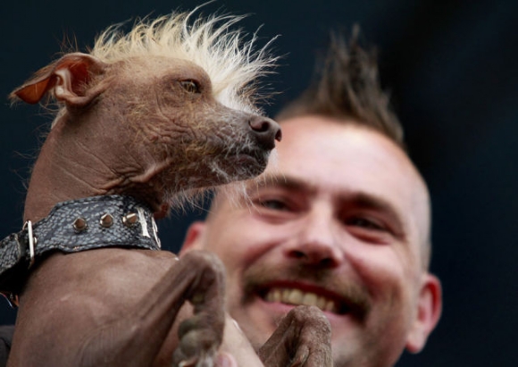 World's Ugliest Dog Show