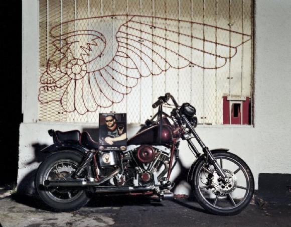 Insight Into The Hells Angels