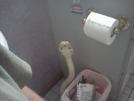 Ward's Random Picture Dump