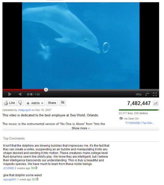 youtube comment dolphin - 8 3600 7,482,447 Add to Uploaded by chiajungchi on This video is dedicated to the best employee at Sea World, Orlando 23,317 kes, 528 disks As Seen On Tywkwdictwa The music is the instrumental version of "No One is Alone" from "I