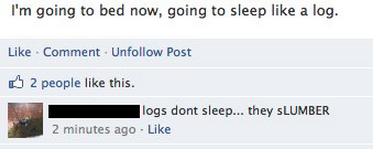 pun about organization - I'm going to bed now, going to sleep a log. Comment Un Post 2 people this. logs dont sleep... they Slumber 2 minutes ago