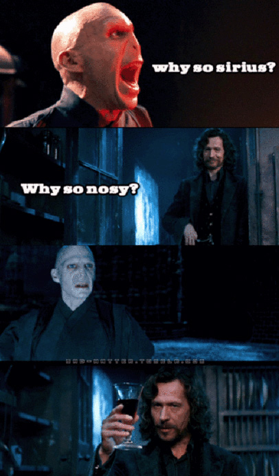 pun about good harry potter jokes - why so sirius? Why so nosy Ir Better The