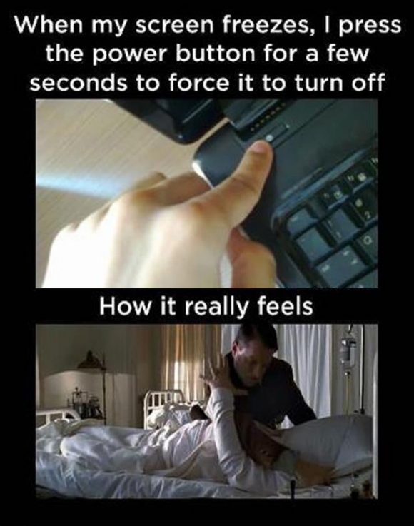 Ward's Random Picture Dump