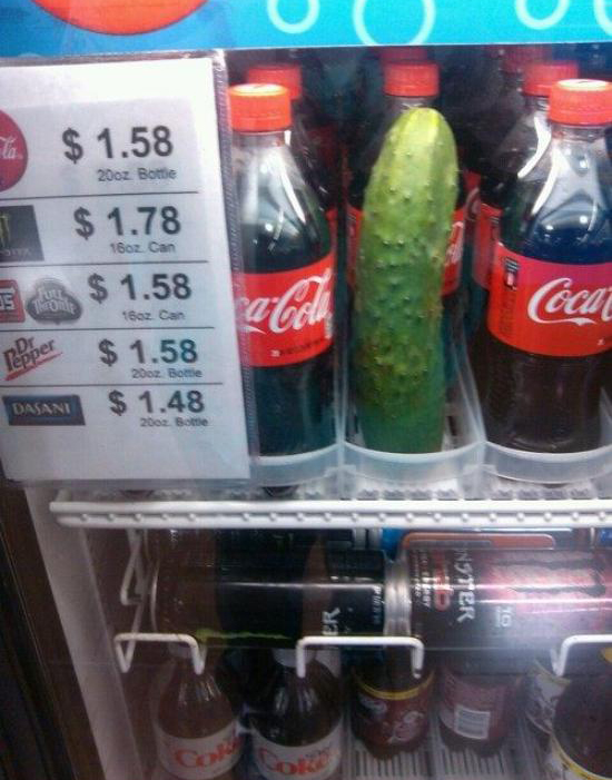 Ward's Random Picture Dump