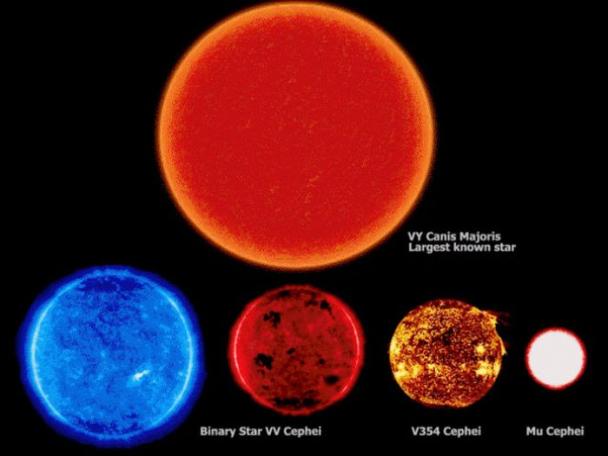 r136a1 vs vy canis majoris - Vy Canis Majoris Largest known star Binary Star W Cephel V354 Cephe Mu Cephei