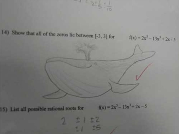 Awesome Test Answers