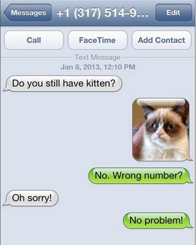 wrong number text prank - Messages 1 317 5149... Edit Call Face Time Add Contact Text Message , Do you still have kitten? No. Wrong number? Oh sorry! No problem!