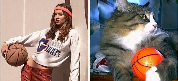 Models VS Cats