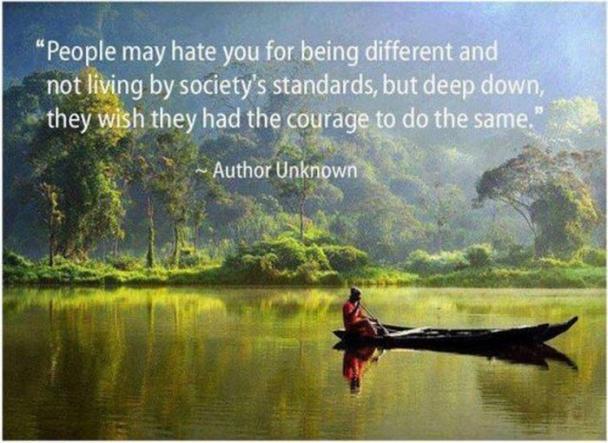 People may hate you for being different and not living by society's standards, but deep down, they wish they had the courage to do the same." Author Unknown